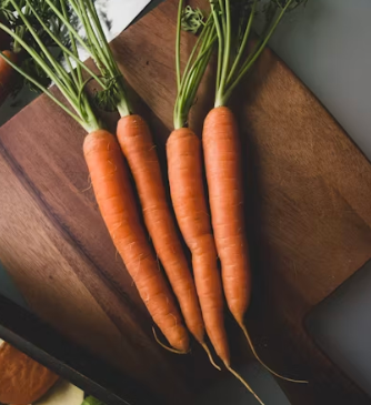 당근 효능 부작용 고르는법 칼로리