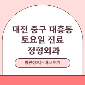 대전 중구 대흥동 토요일 정형외과 진료 병원