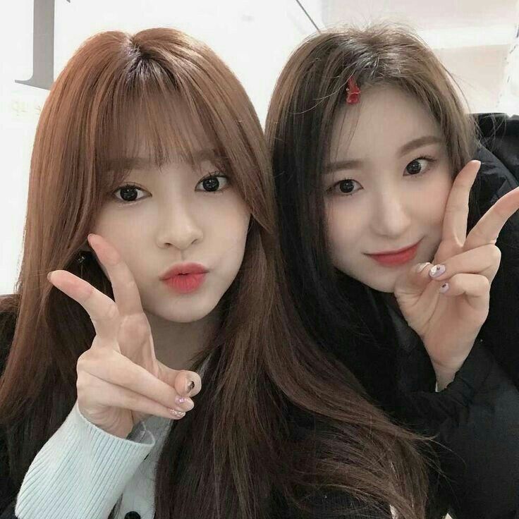 아이즈원 프로듀스48 사진 모음 아이즈원 프로듀스48 사진 모음