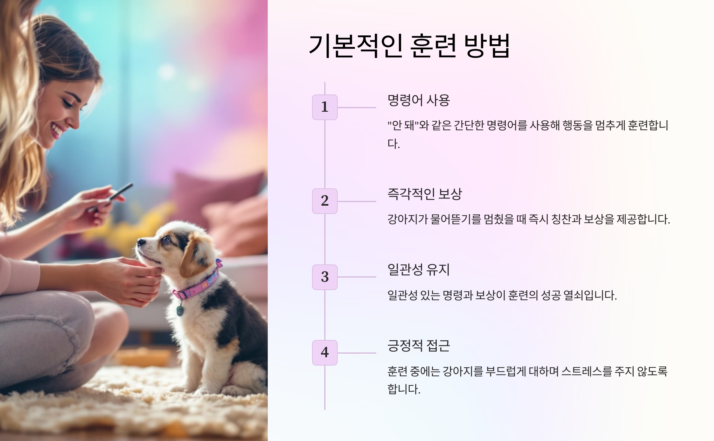 기본적인 훈련 방법