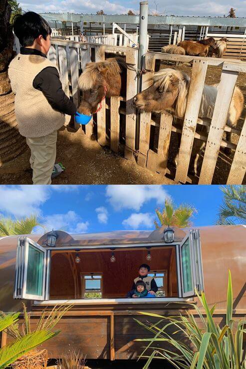 위 사진은 남자아이가 파란 바구니를 들고 포니 2마리에게 먹이를 주고 있는 모습이다. 아래 사진은 아이 2명이 창문 뒤에서 밖을 쳐다보고 있다.