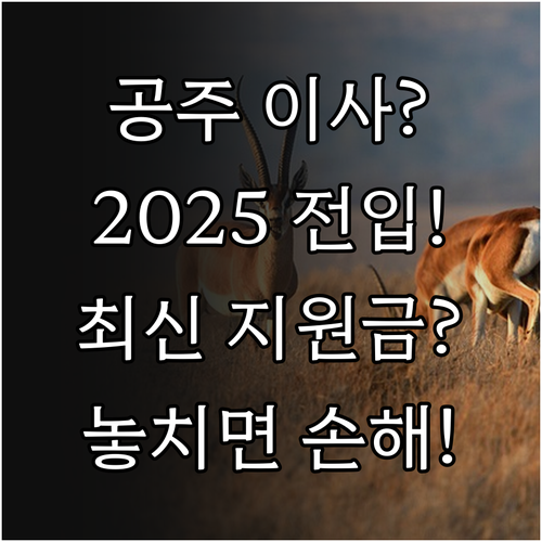 공주 시민을 위한 2025 전입지원금..