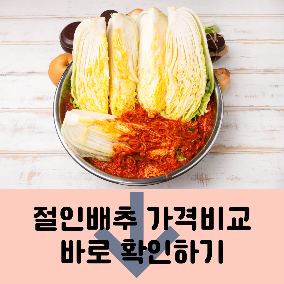 절인배추 가격 비교