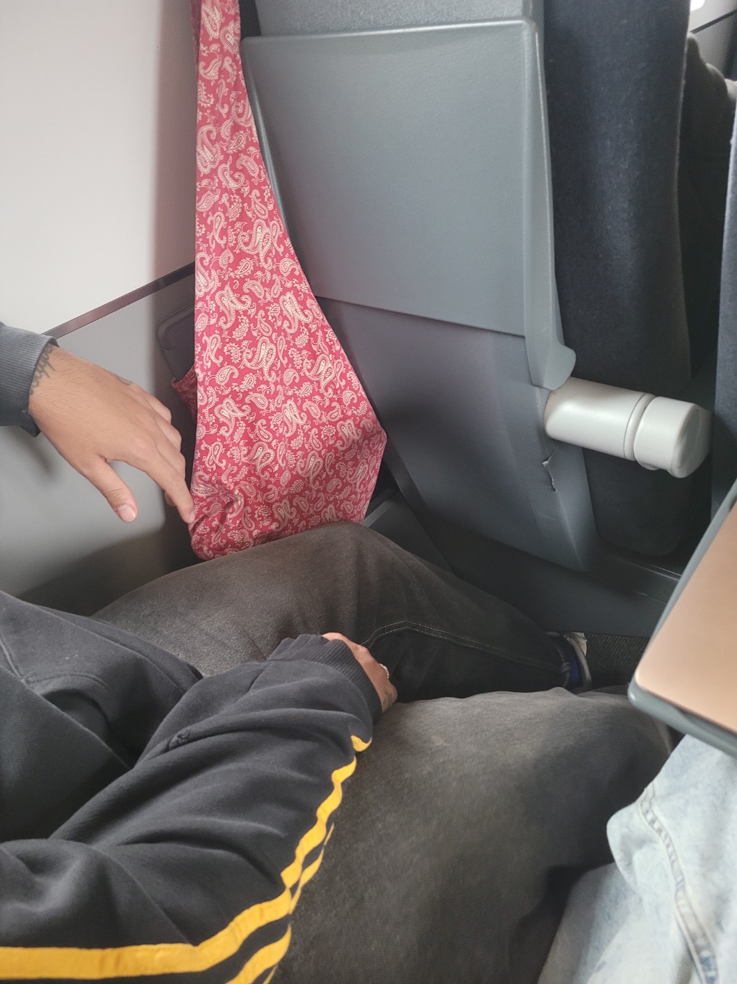 조지아 기차 좌석간격