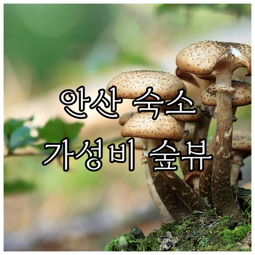 경기도 안산 여행 숙소 고민 해결 가..
