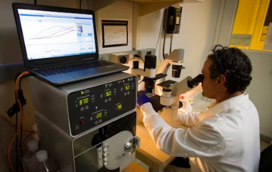 실손보험 청구 서류 기간 간소화 보장내용