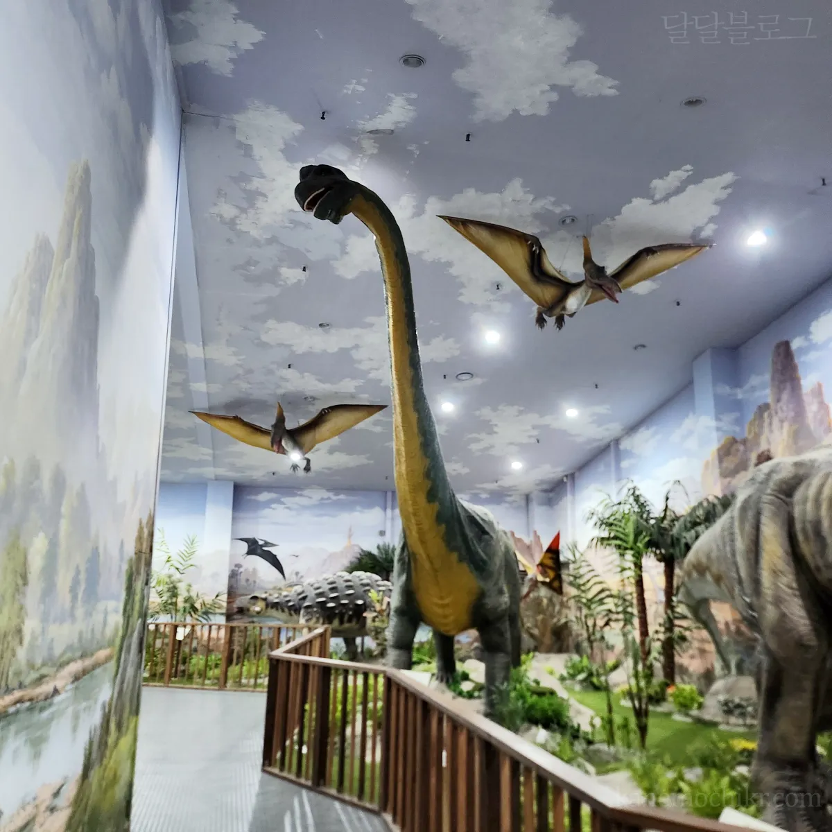 남양주-덕소-자연사박물관