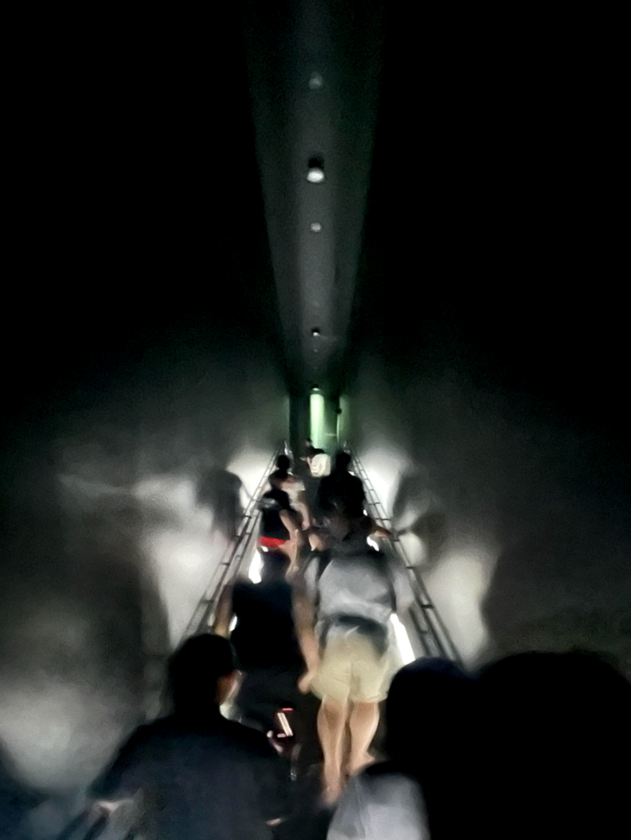 일본 도쿄 팀랩 플래닛 여행 내부진입-언덕 위의 빛의 폭포