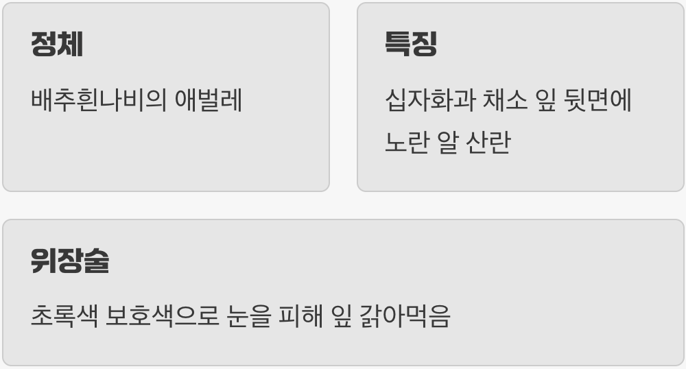 1. 낭만적인 풍경 속의 암살자