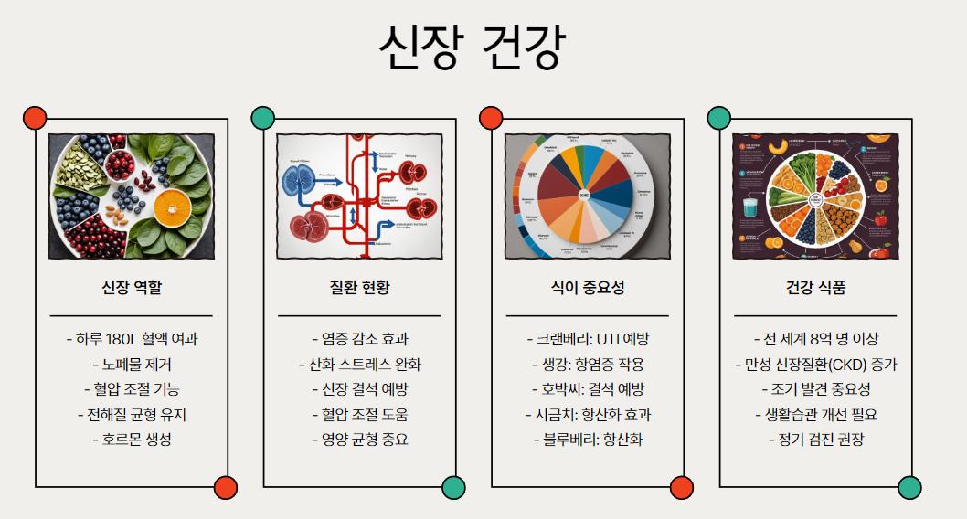 신장 건강과 식품의 중요성