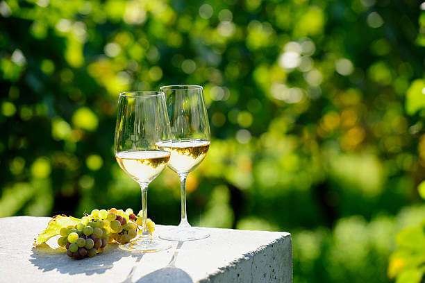 두부전 &amp; 샤르도네(Chardonnay) 와인 페어링｜들기름의 고소함과 오크향의 실키한 균형
