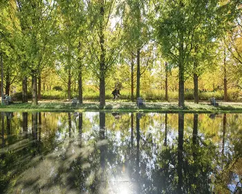 서울숲 공원 주차장15