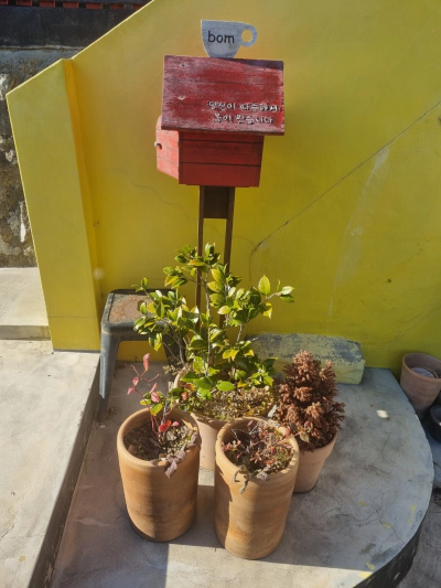 영덕 강구항카페 카페봄 전망 좋은 바다뷰 추천