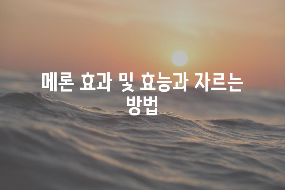 샘플 (88)