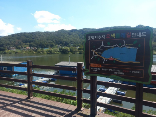 용인 반려견 산책 어디가 좋을까? 겨울에도 걷기 좋은 명소 추천
