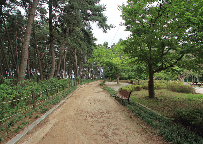 충남 서천 장항오토캠핑장 소개
