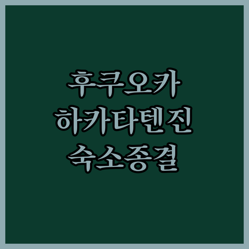 일본 후쿠오카 여행 숙소 추천 하카타..