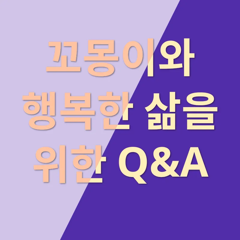 부산도꼬똥드툴레아분양_4