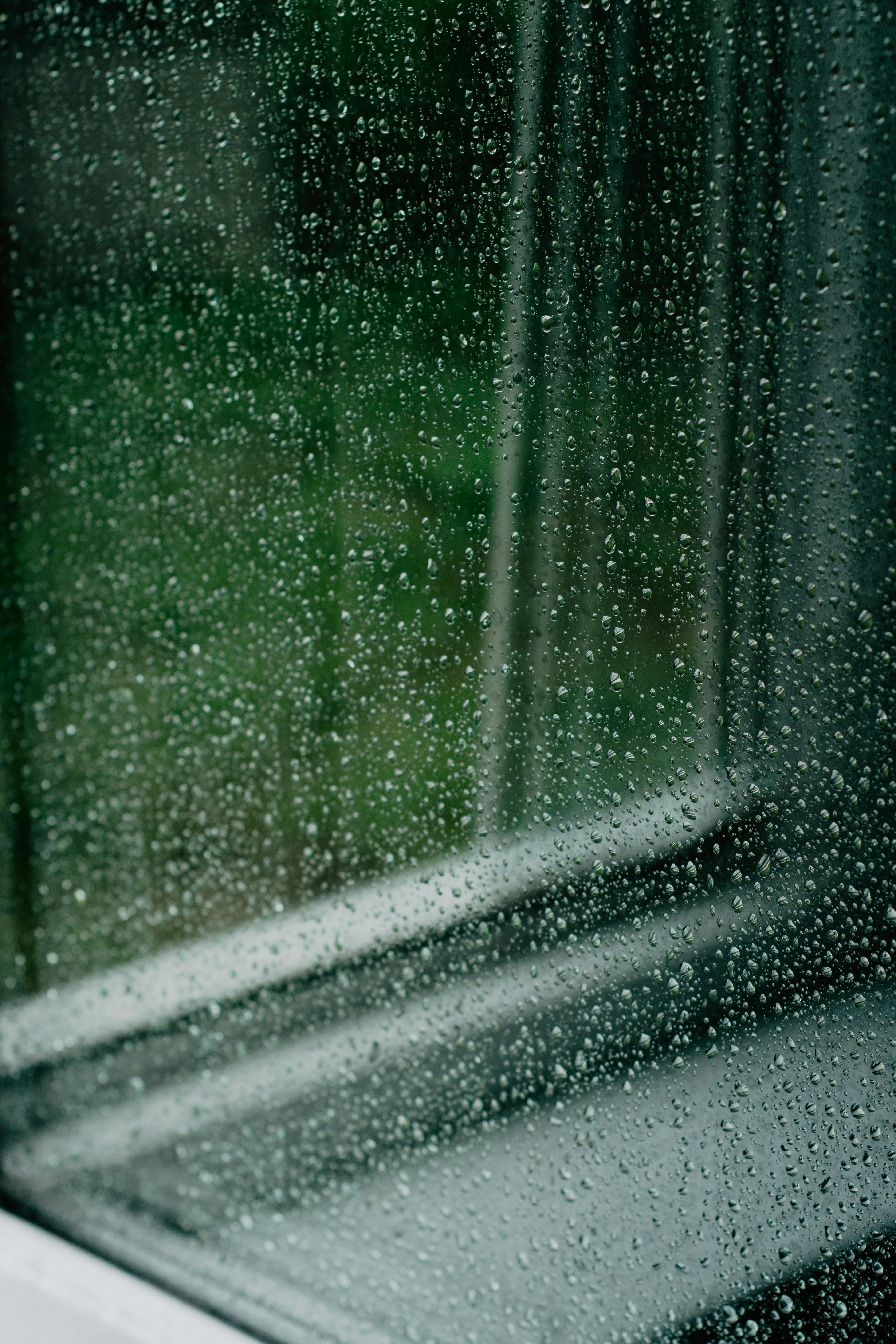 2024 장마 관련 이미지