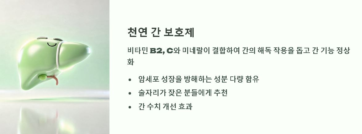 구찌뽕 열매 끓인물효능