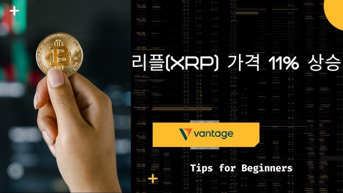 리플(XRP) 개요 및 최근 동향