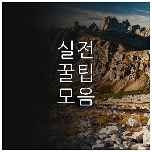 2025 성동구 명절위문금 신청 없이..