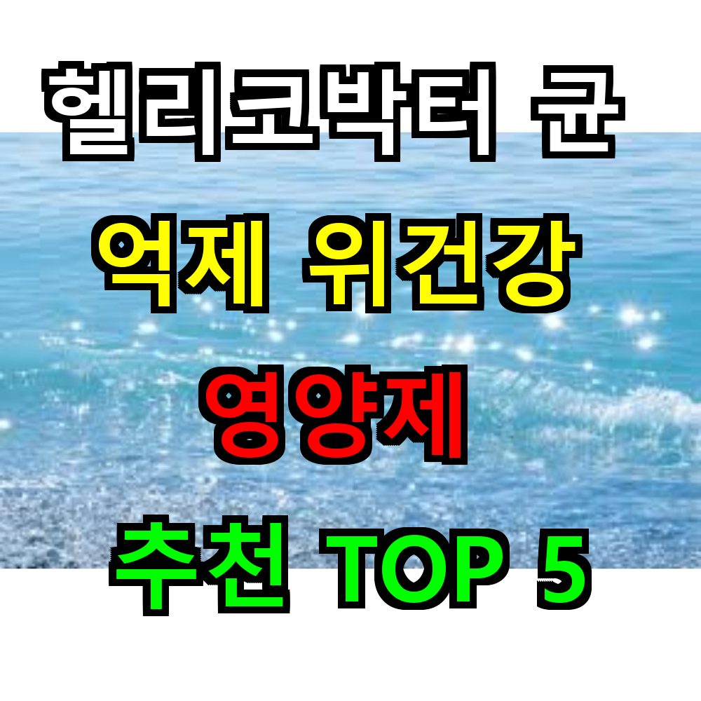 2025 헬리코박터균 억제 위건강 영양제 추천 TOP 5