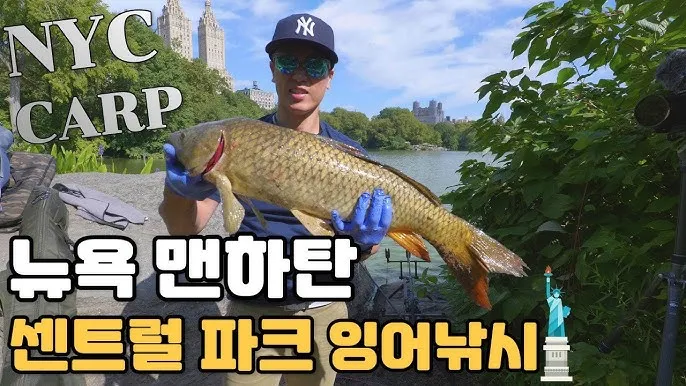 낚시 고수들이 말하는 붕어 잉어 향어 민물낚시 비법_6