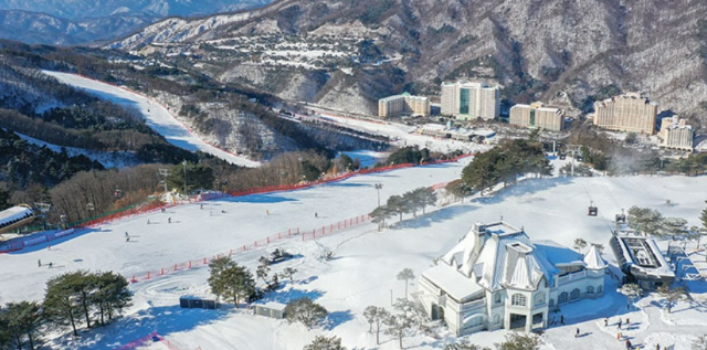 소노벨 비발디 파크