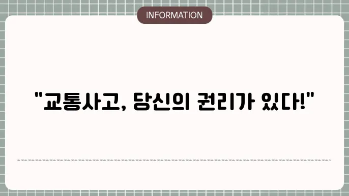 교통사고 운전자보험 교통사고지원금 지원금 신청 및 지급 기준
