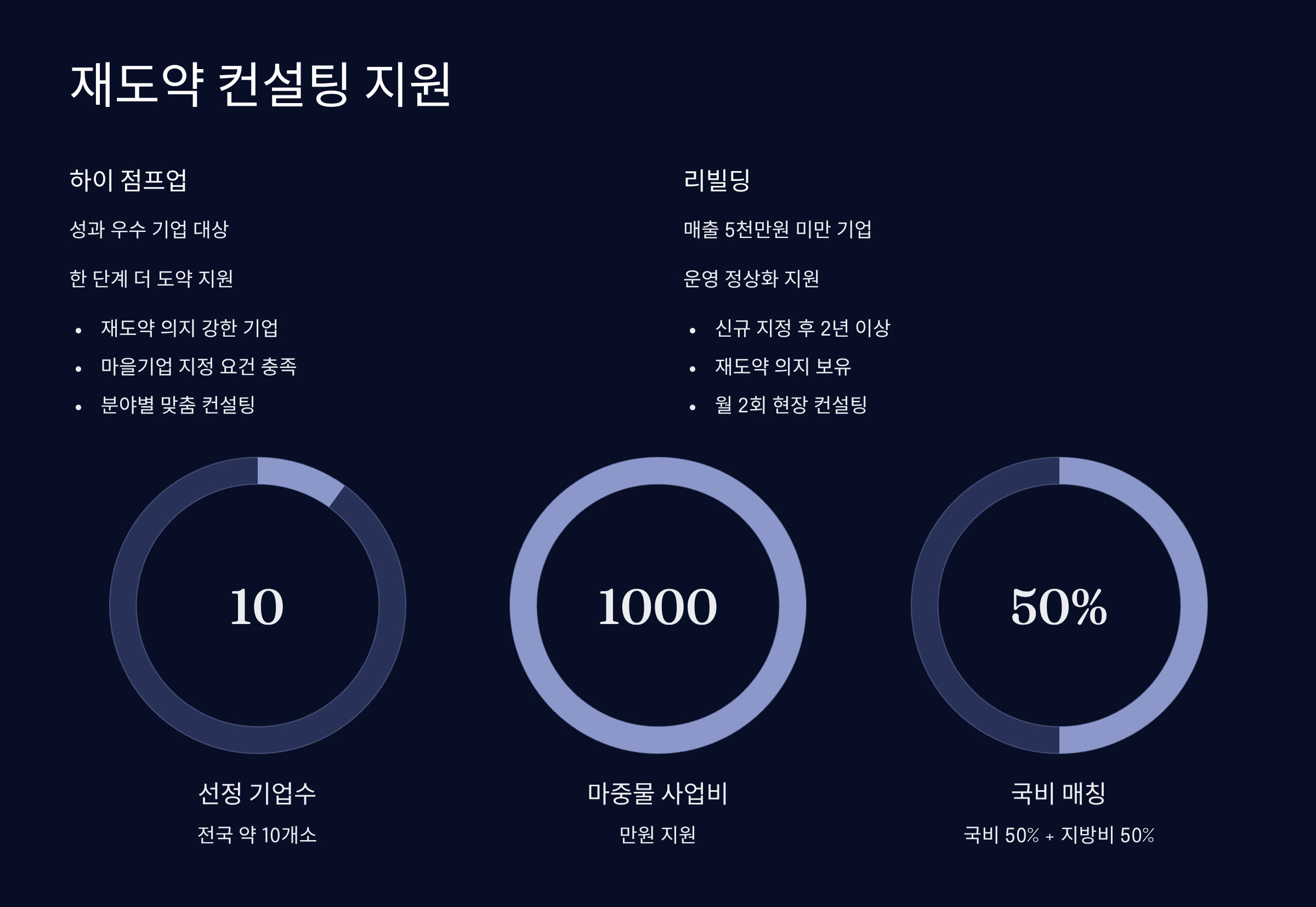 재도약 컨설팅 지원 프로그램