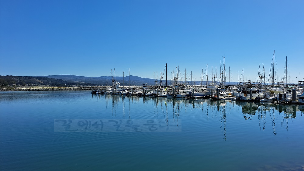 Pillar Point Harbor
