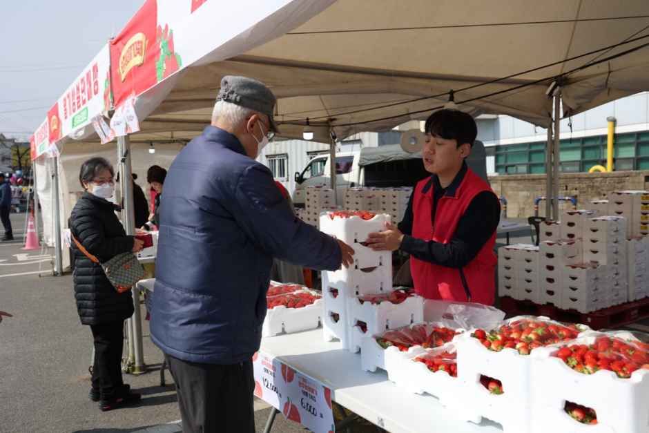 2026년 3월 6일~3월 8일, 전북 완주군 삼례읍에서 열리는 완주삼례딸기대축제 안내. 딸기 퍼포먼스, 체험 프로그램, 판매장, 푸드존, 스탬프 이벤트 등 핵심 정보와 방문 팁을 정리했습니다