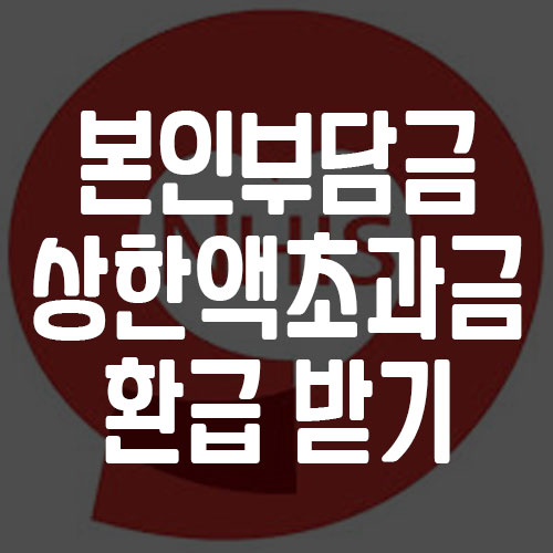 본인부담금 상한액 초과금 환급 받기