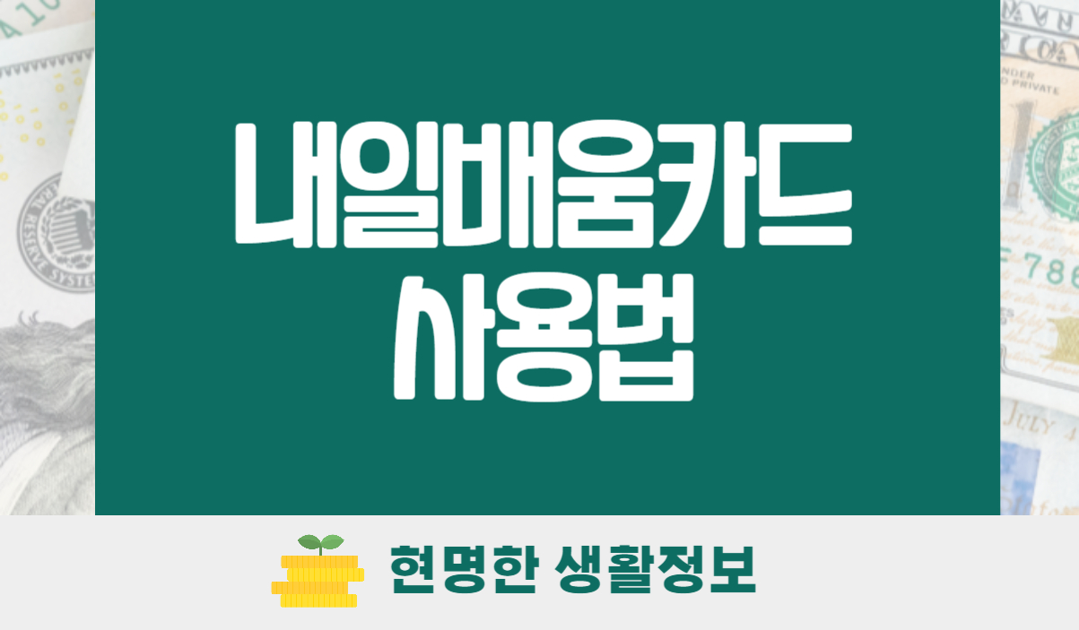 국민내일배움카드 사용법