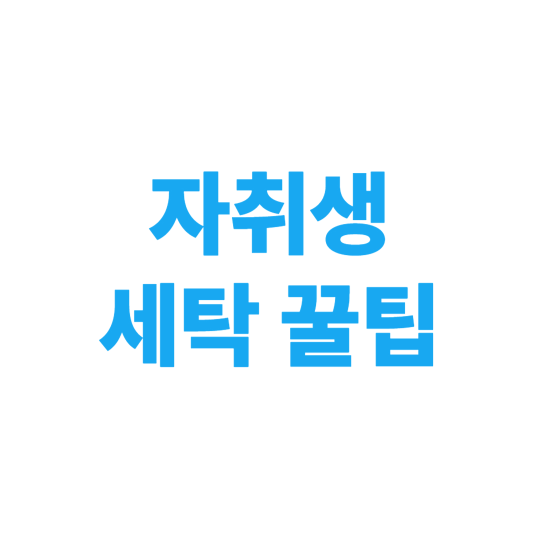 자취생 세탁 꿀팁 – 옷 망치지 않는 실수 방지법