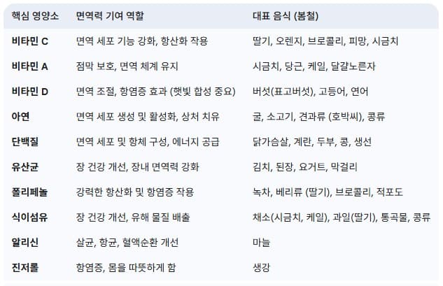 봄철-면역력-관리-핵심-영양소와-대표-음식