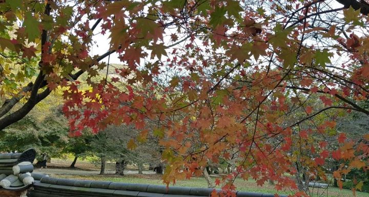 내소사의 가을 단풍 전경