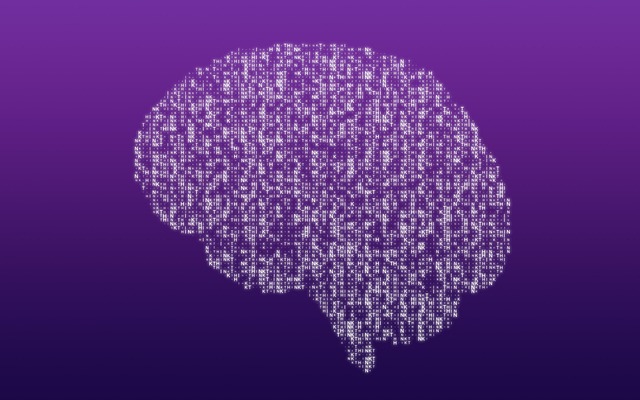 양가 감정의 심리학: 사랑하면서 미워하는 마음은 왜 생길까?