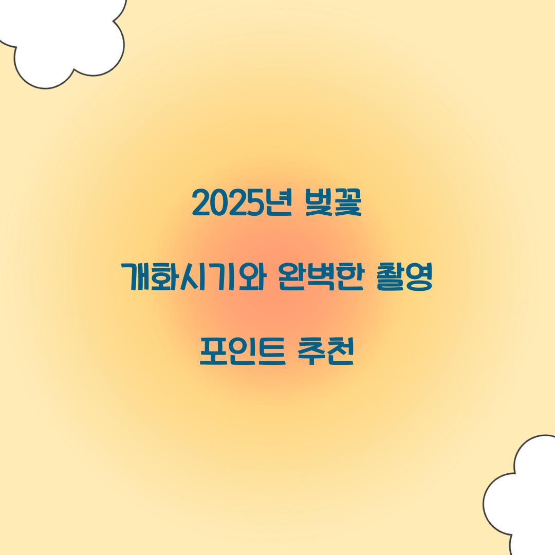 2025년 벚꽃 개화시기