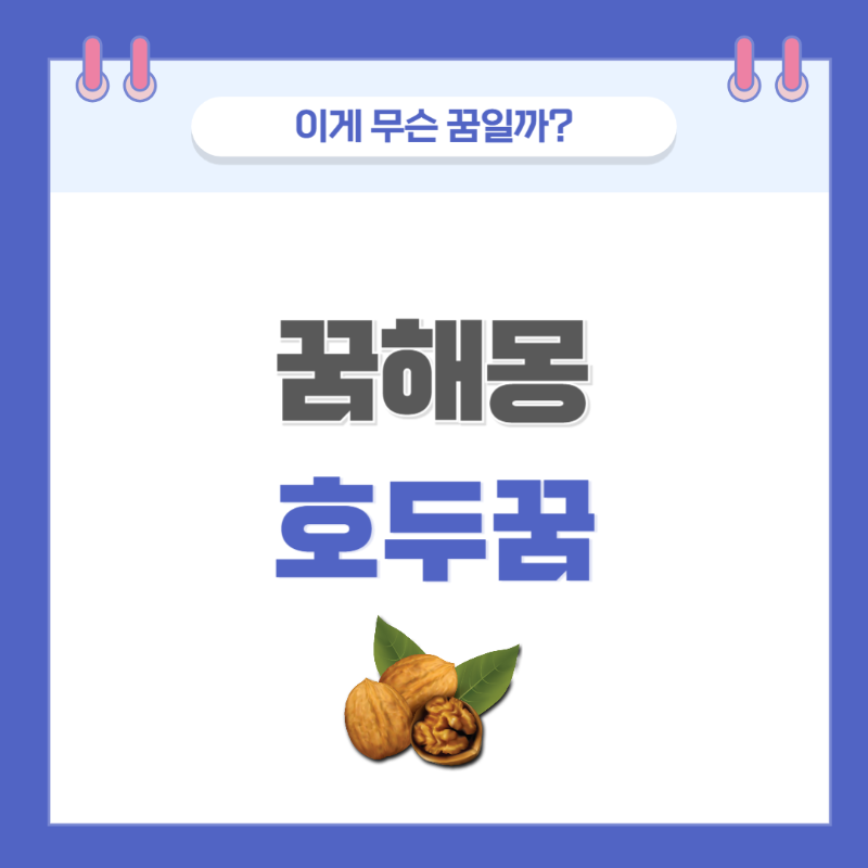 호두 나오는 꿈 해몽 썸네일