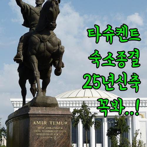 타슈켄트 여행 숙소 5곳 실제 투숙객..