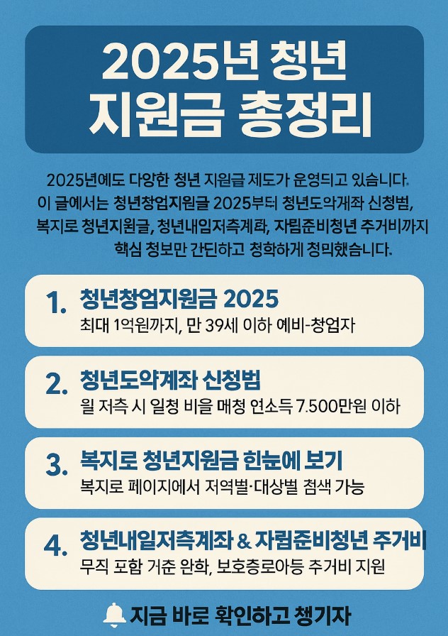 2025 청년지원금 총정리관련사진자료