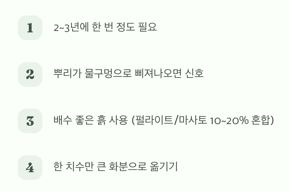 흙이 딱딱해요&amp;#44; 분갈이가 필요할 때