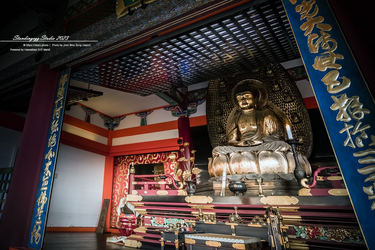 #일본 #교토 #신사 #불교 #일본여행