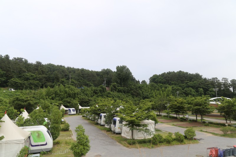 보성 율포솔밭 오토캠핑장