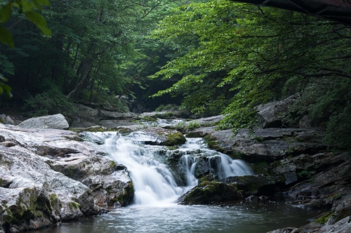 국내 여름 휴가지