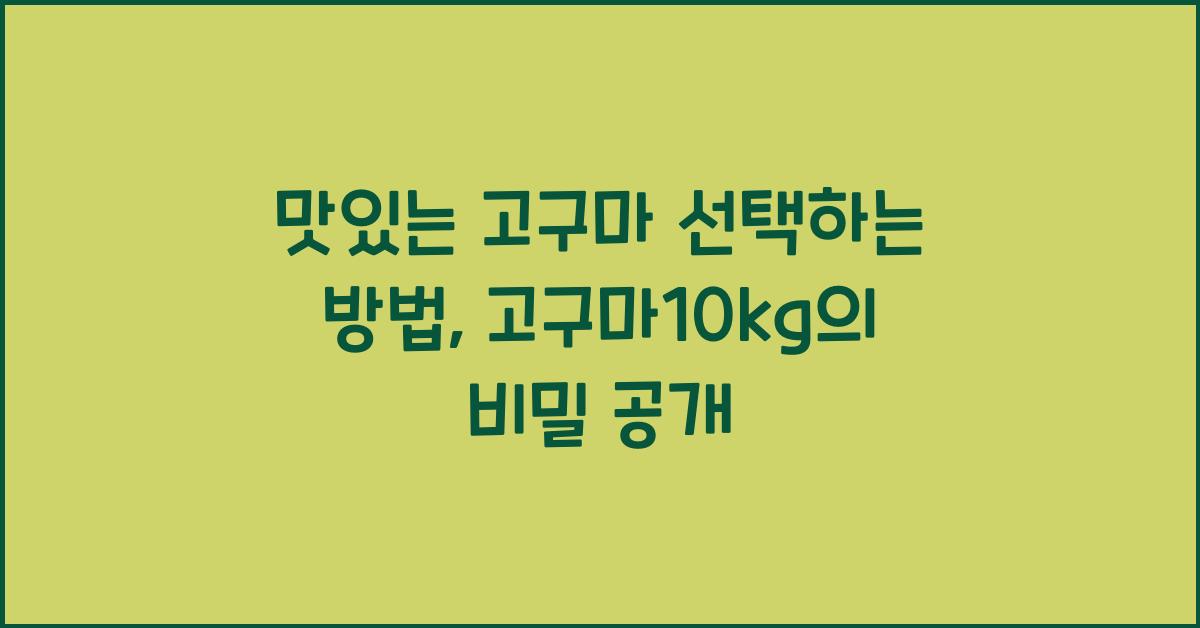 맛있는 고구마 선택하는 방법 고구마10kg