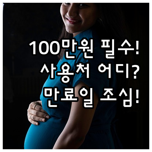 2025년 서울 산후조리경비 100만..