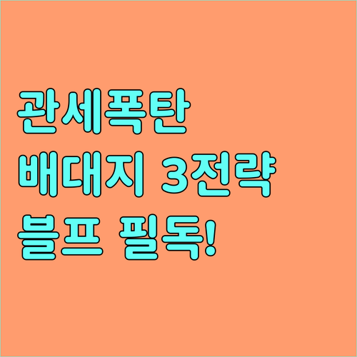 2025 블랙프라이데이 관세 폭탄 피..